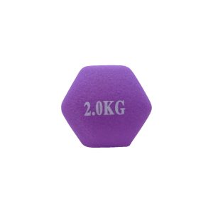 MANCUERNA REVESTIDA GOMA 2KG