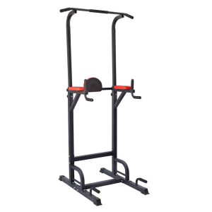 Barra para dominadas Active Training