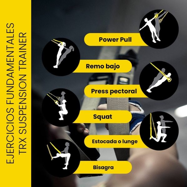 BANDA ELÁSTICA SUSPENSIÓN TRX ACTIVE TRAINING - Imagen 4