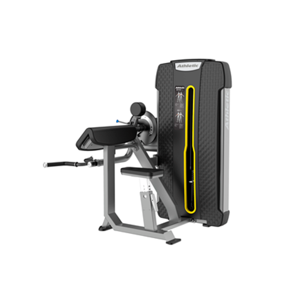 Camber Curl & Triceps
