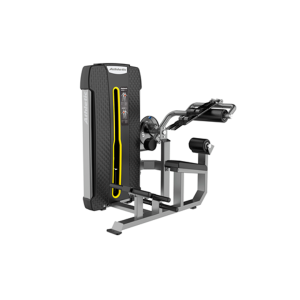 Abdominal & Back Extension