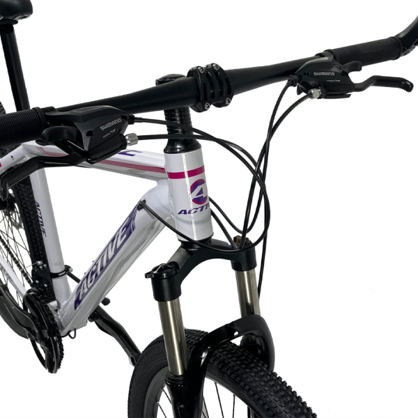 Bicicleta ACTIVE CUADRO ALUMINIO Rodado 29 24 Cambios - Imagen 2