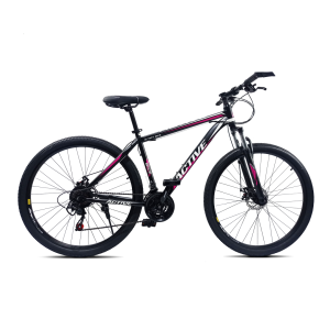 Bicicleta Active Training Act-29-5iron Rodado 29 21 Cambios