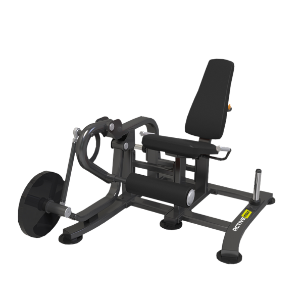 Leg Extension