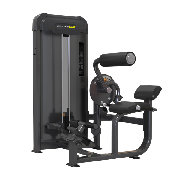 Abdominal/Back Extension 66kg