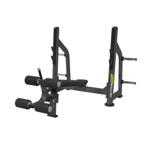Olmpic Decline Bench