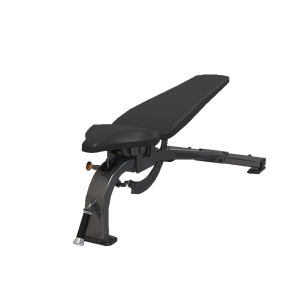 Multi-Adjustable Bench