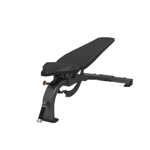 Multi-Adjustable Bench