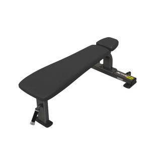 Flat Bench