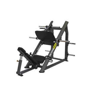 Leg Press
