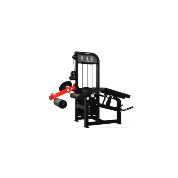 SEATED LEG EXTENSION & PRONE LEG CURL - Imagen 2