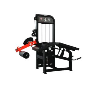 SEATED LEG EXTENSION & PRONE LEG CURL