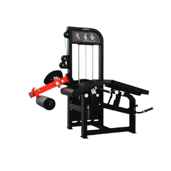 SEATED LEG EXTENSION & PRONE LEG CURL
