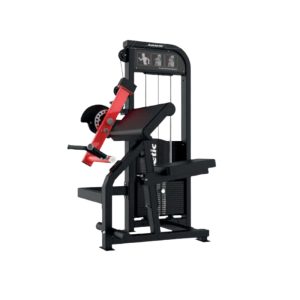 BICEPS & TRICEPS EXTENSION