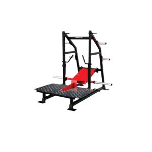 DYNAMIC - BELT SQUAT