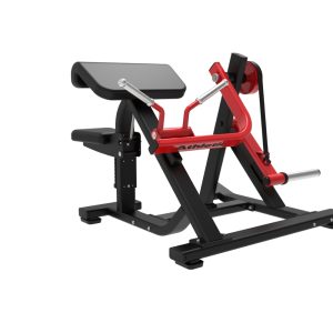 INTENSE - BICEPS CURL