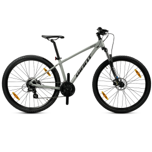 Bicicleta Giant Rincon 1 Talle S/Gris aluminio R29