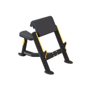 Preacher Curl