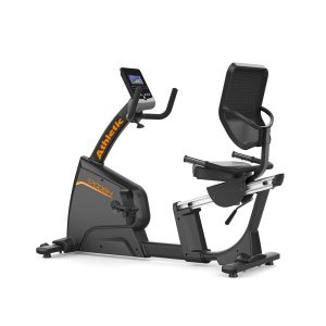 PROFESSIONAL RECUMBENT BIKE 1700BHP
