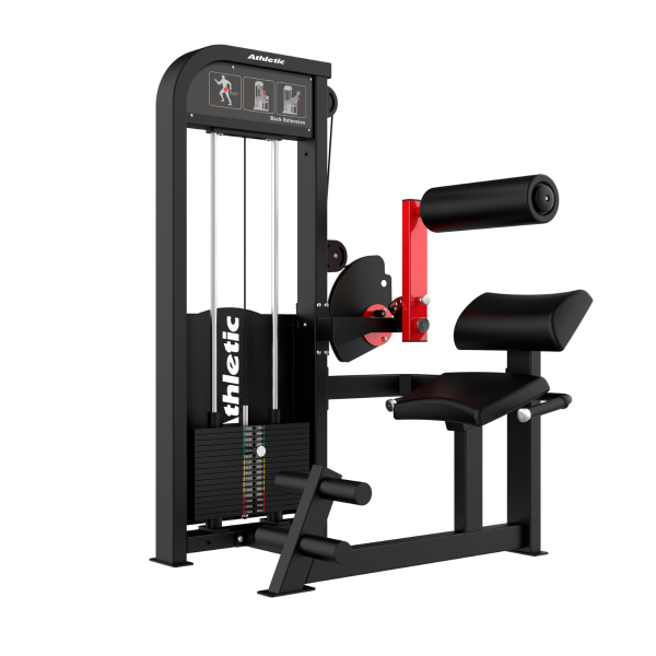 DYNAMIC - BACK EXTENSION