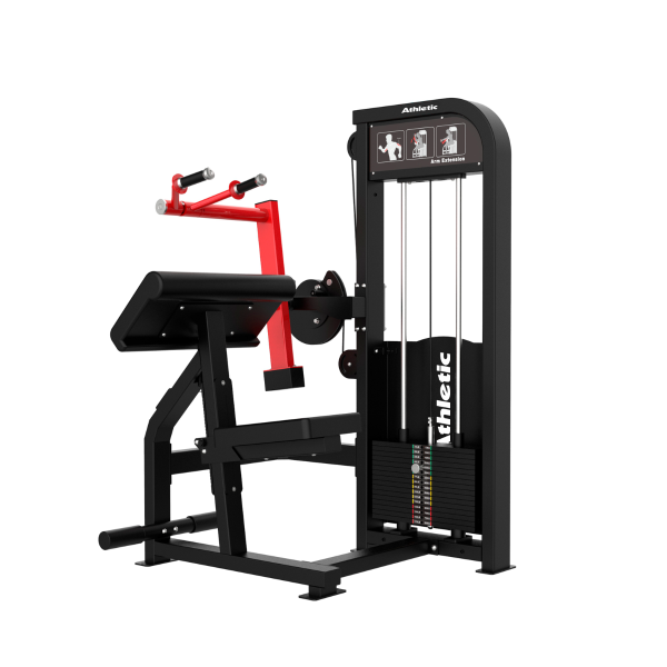 DYNAMIC - TRICEPS EXTENSION