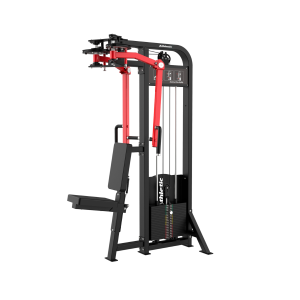 DYNAMIC - REAR DELT