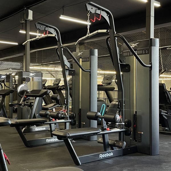 Biceps Curl/ Triceps Extension 55Kg/120LBS